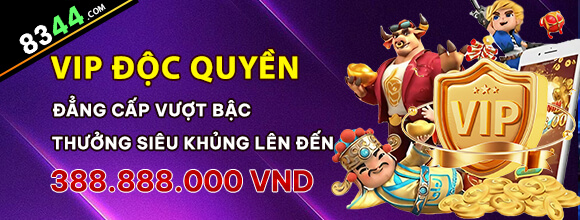 vbet88