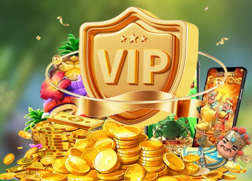 vbet88