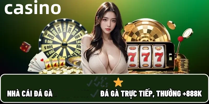 vbet88