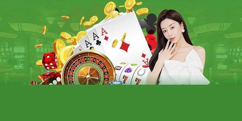 vbet88